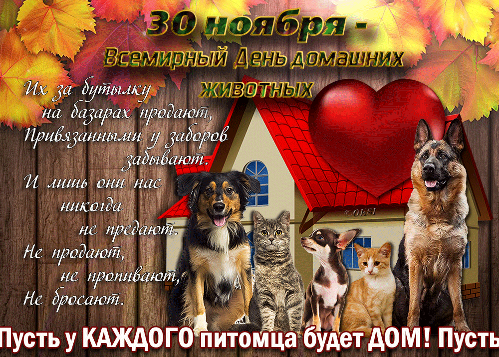 День домашних животных. Всемирный день домашних животных. Всемирный день домашних животных 30 ноября. Всемирный день домашних животных 2022.