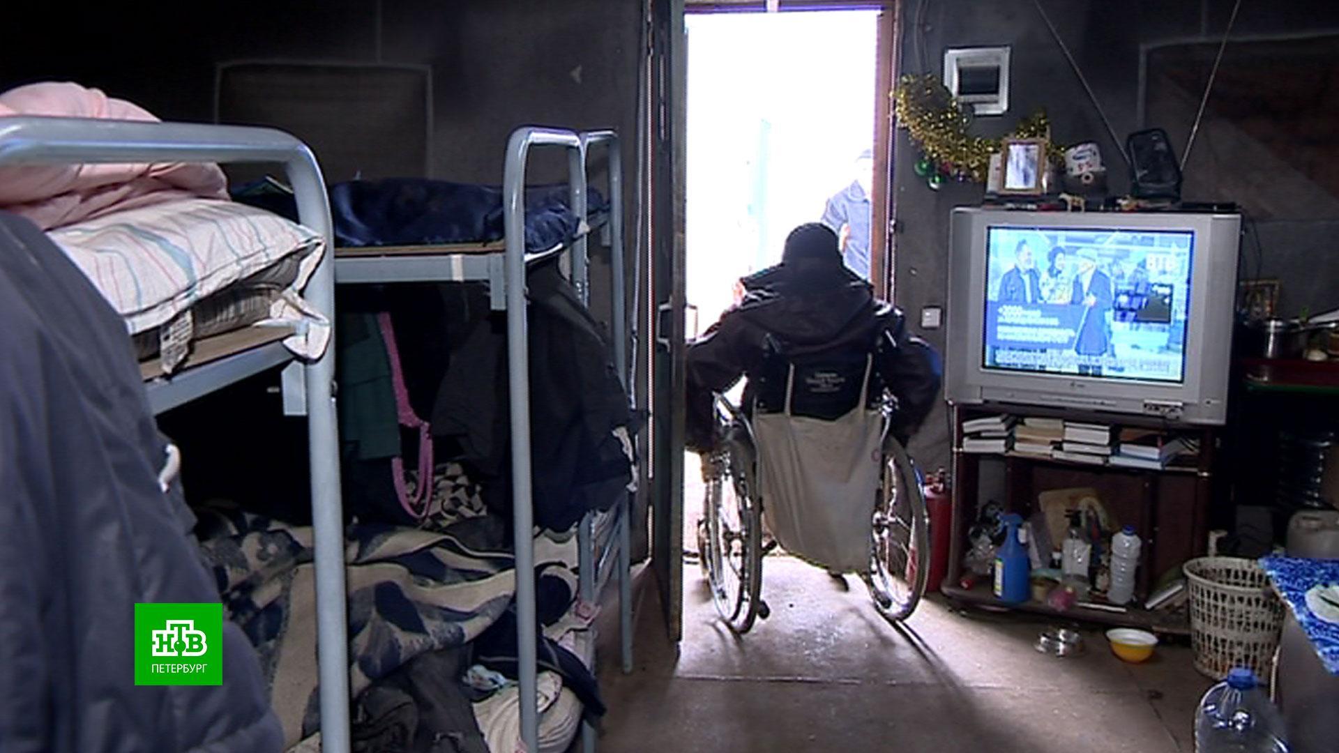 Пермский край приют для бездомных инвалидов