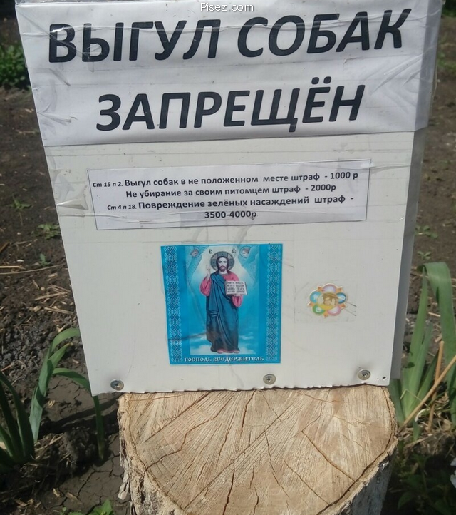 Кратко, чётко и понятно. Реально смешно!
