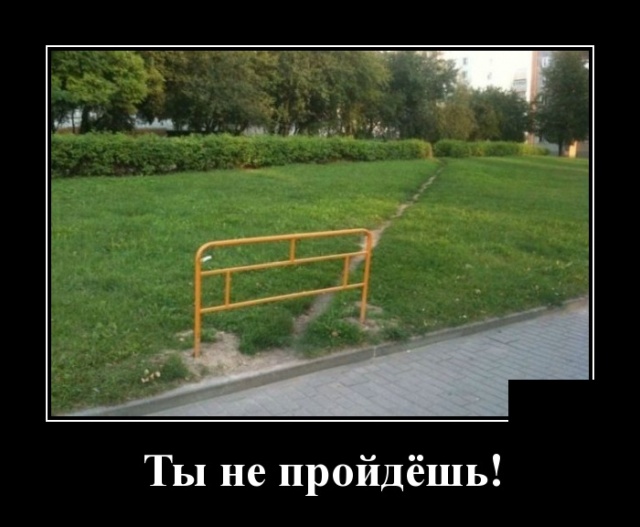 В городе, в котором нет памятников, голуби гадят на более или менее известных горожан В городе, в котором нет памятников, голуби гадят на более или менее известных горожан анекдоты,веселье,демотиваторы,приколы,смех,юмор