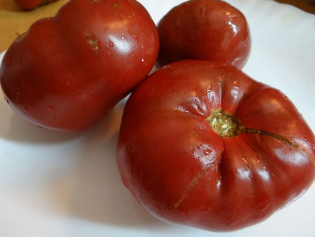 сладкие сорта томатов