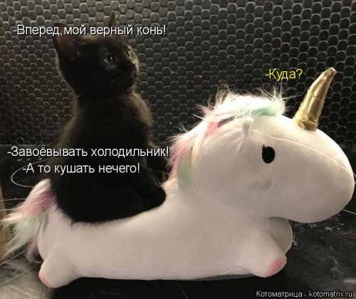 Лучшая котоматрица недели  смешные картинки