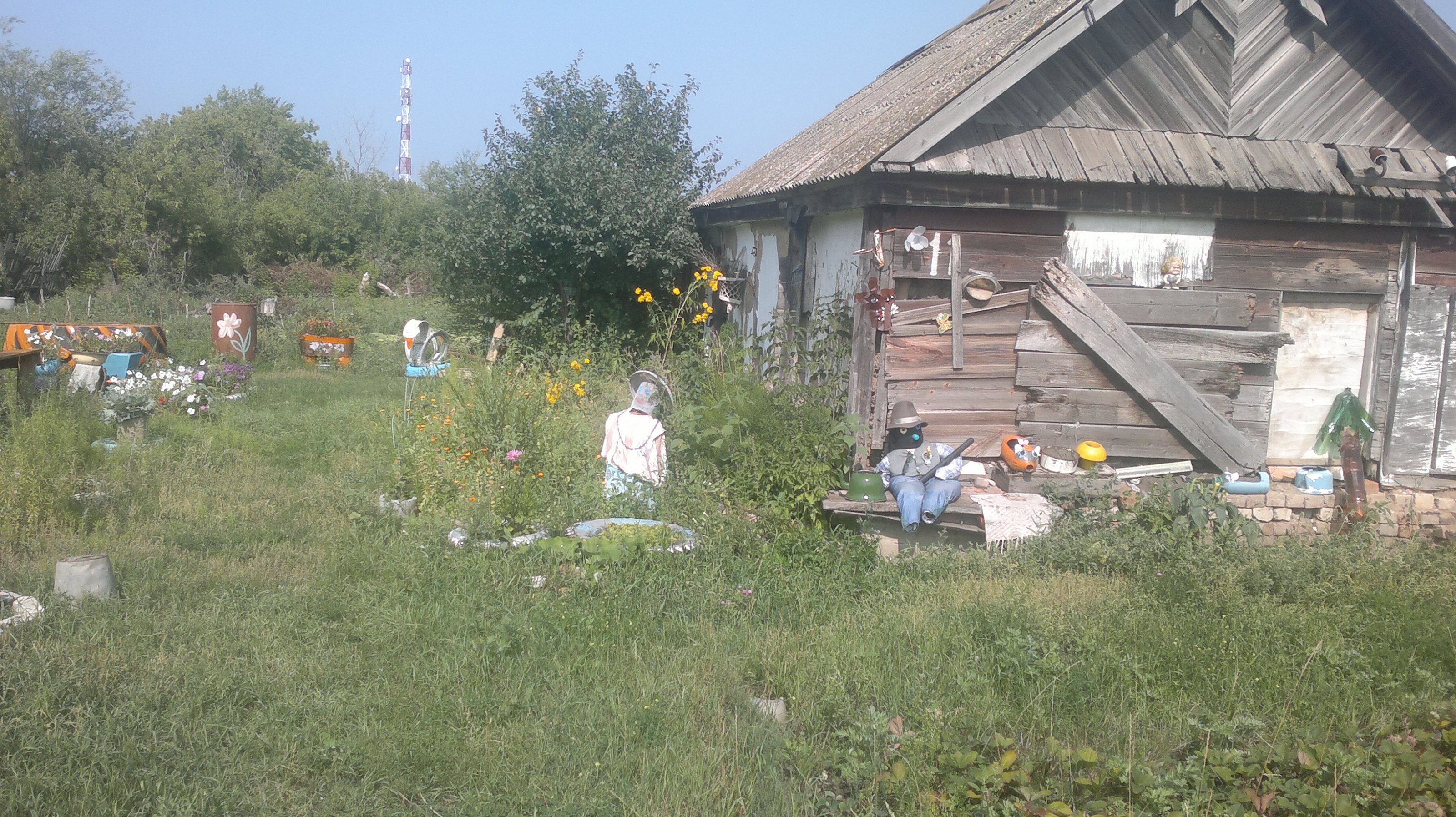 Забрали участок. Плешаки село Ростовской области. Ростовская область ,село Михайло Александровка.