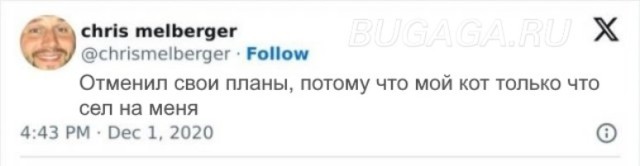 Прикольные КОТОмемы  