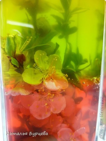 Цветы в желатине: мастер-класс