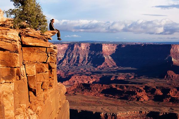Забавные и прикольные фотографии из сети 