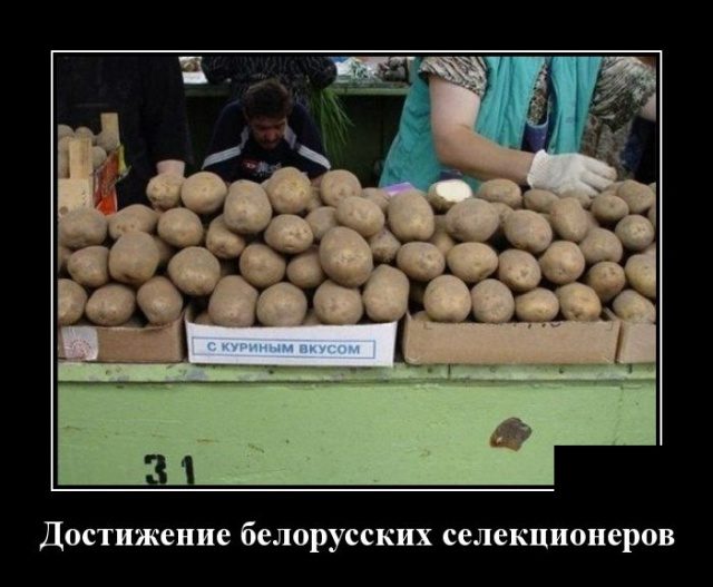 Демотиваторы дня. Классика жанра Демотиваторы дня. Классика жанра демотиваторы