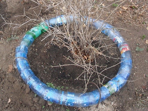 Что можно сделать из пластиковых бутылок своими руками для дачного участка, сада и огорода Что можно сделать из пластиковых бутылок своими руками для дачного участка, сада и огорода идеи