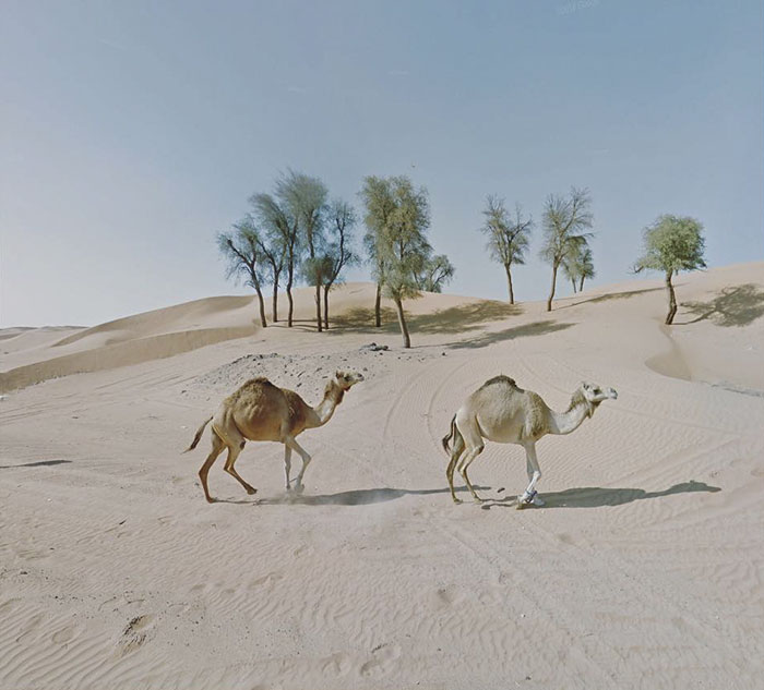 Sharjah, United Arab Emirates