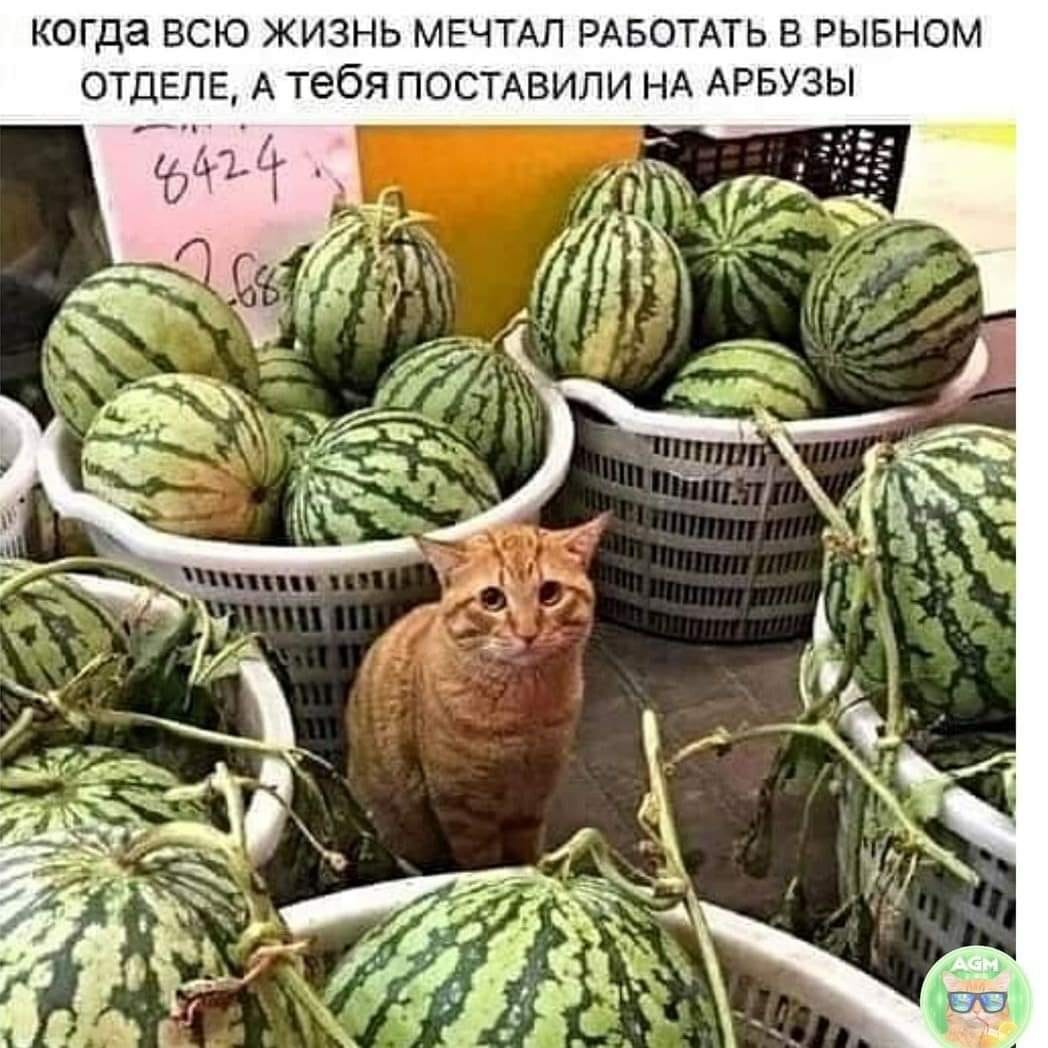 Юмор из интернета 622 позитив,смех,смехотерапия,улыбки,юмор