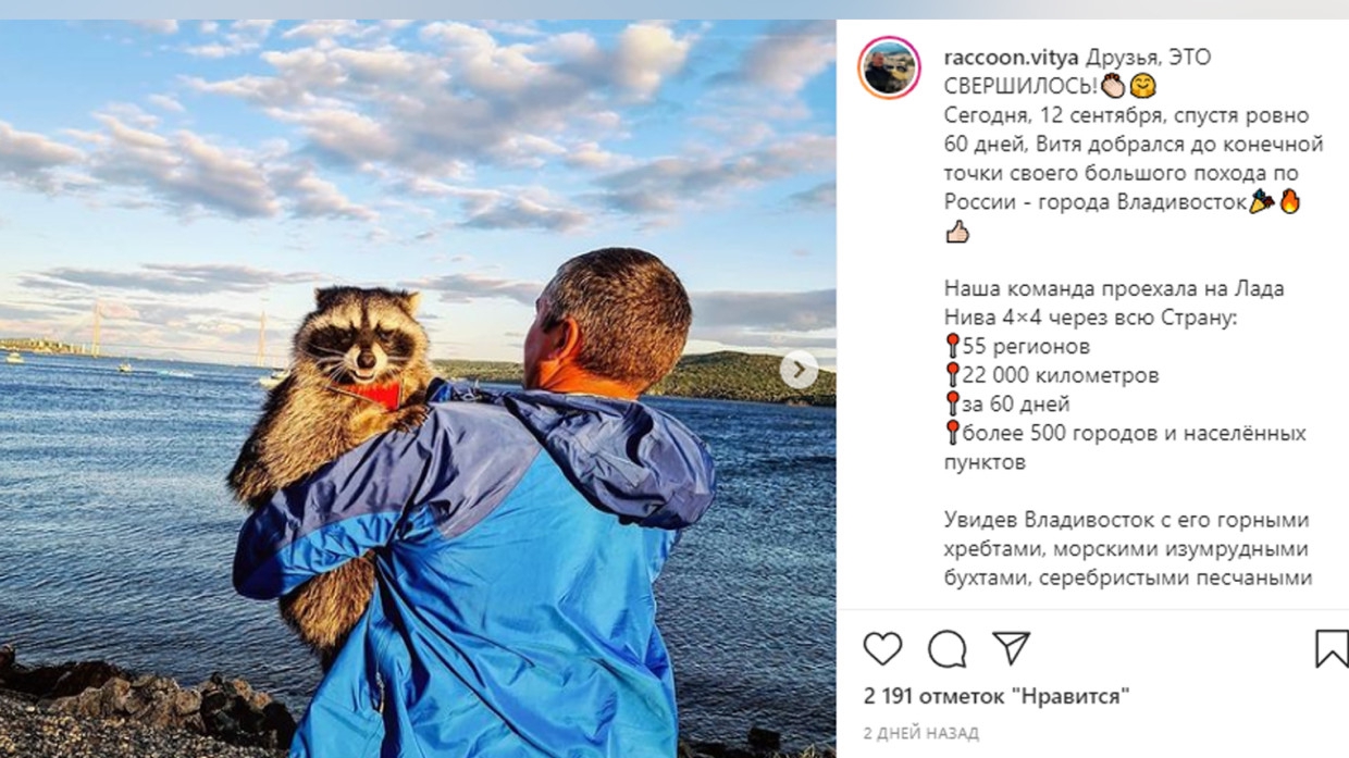 Самый популярный енот России проехал всю страну и остался жить во Владивостоке
