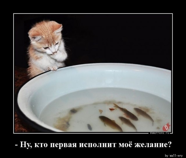 Свежая порция демотиваторов: «Кто крайний?» 