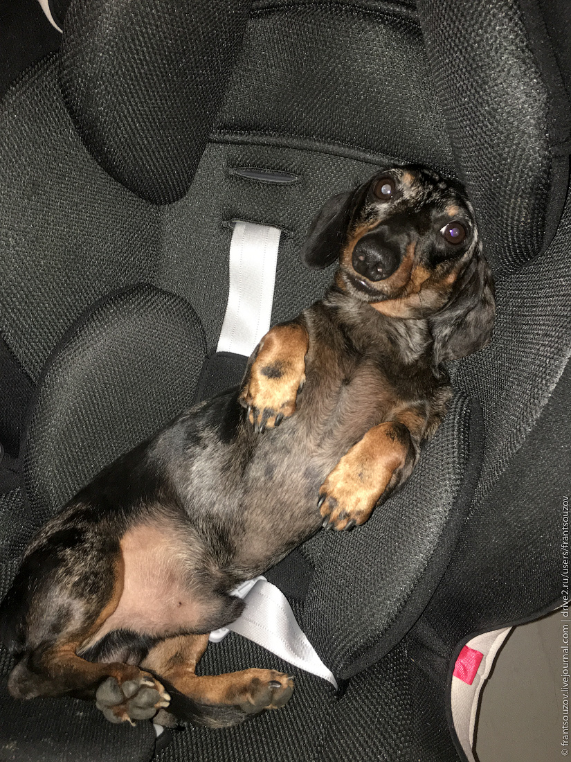 Ущелье Большой Лабы Ущелье Большой Лабы Абхазия