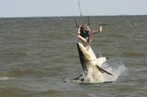 Креативный фотошоп для вас Креативный фотошоп для вас