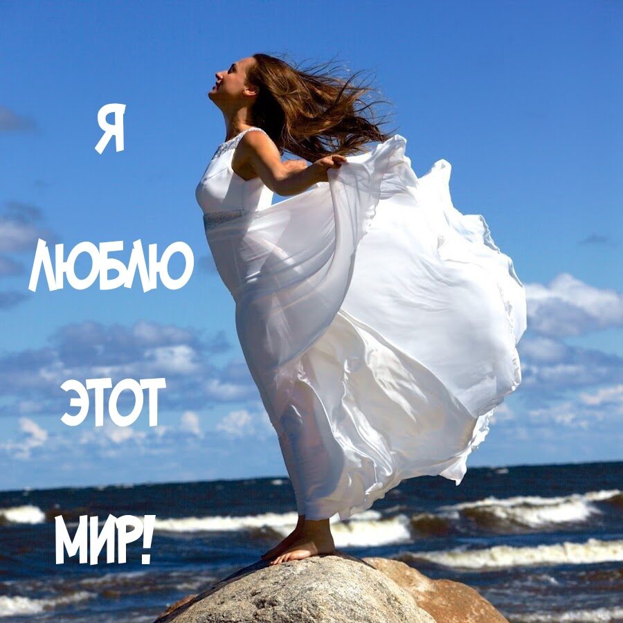 Веселые истории о нас. Лето 