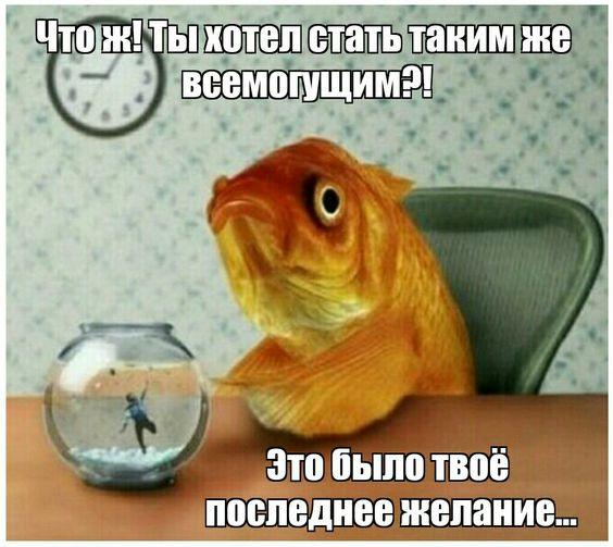 Супер клевые картинки Супер клевые картинки