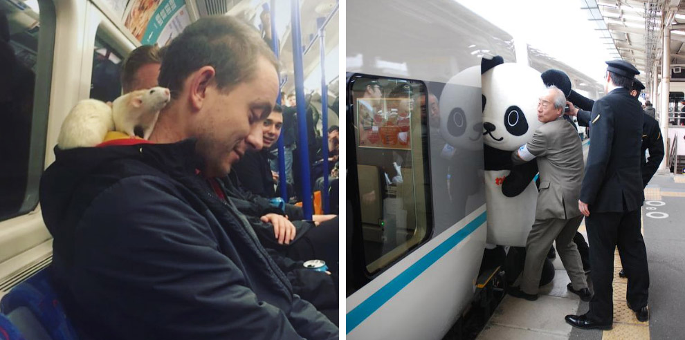 Странности в метро Странности в метро метро