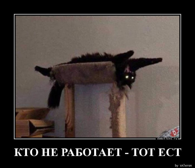 Свежая подборка демотиваторов: ?Кто не работает, тот ест?