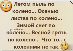 Брак - это всегда риск, либо царевна превратится в лягушку, либо принц в козла Вовочка, Через, обороны, чтобы, Великобритании, может, первым, будет, сказал, район, недели, России, уровне, сидит, ремень, отпуск, искры, бананы, внеплановый, Будет