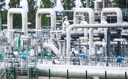 «Северные потоки»: Германия через три месяца сделает свое правительство «правительством в изгнании»