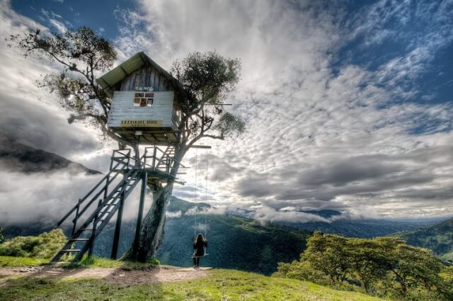 дом на дереве