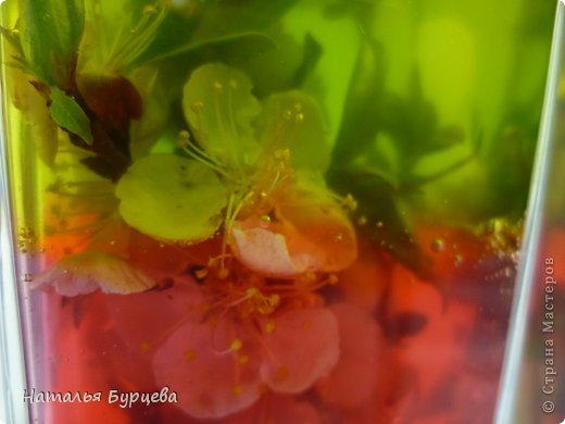 Цветы в желатине: мастер-класс Цветы в желатине: мастер-класс домашний очаг,поделки,рукоделие,своими руками