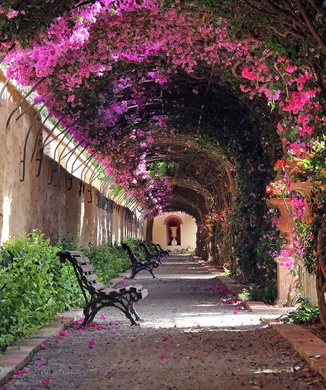 Виртуальная прогулка по самым романтичным улицам планеты, превращённым в живые тоннели красиво,планета,романтика