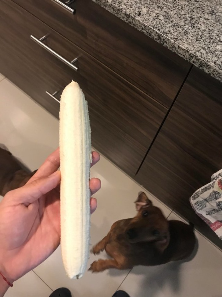 15 доказательств того, что в мире есть еще вещи, которых мы не видели 15 доказательств того, что в мире есть еще вещи, которых мы не видели