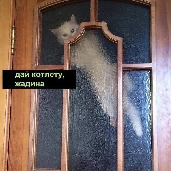 Юмор из интернета 622 позитив,смех,смехотерапия,улыбки,юмор