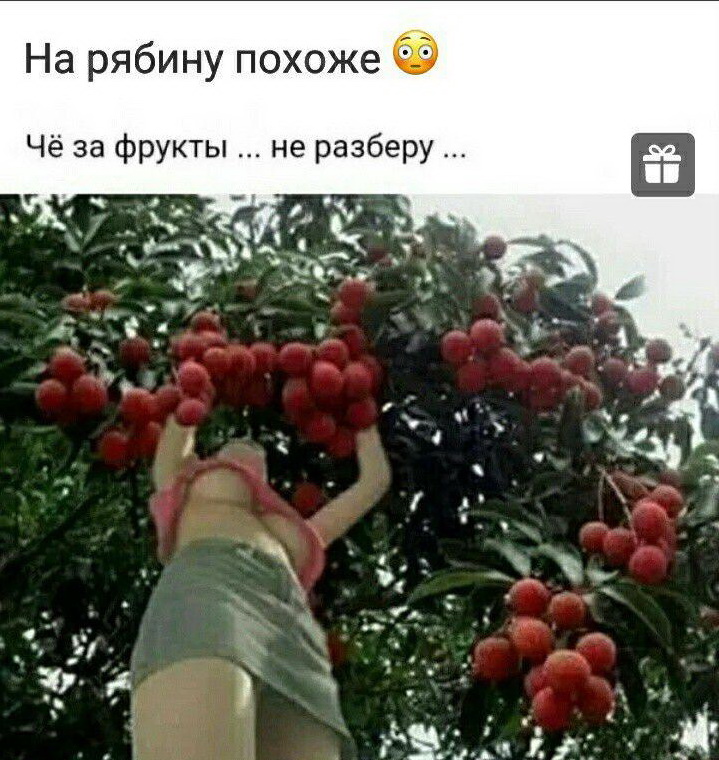 Веселые истории о нас. Лето 