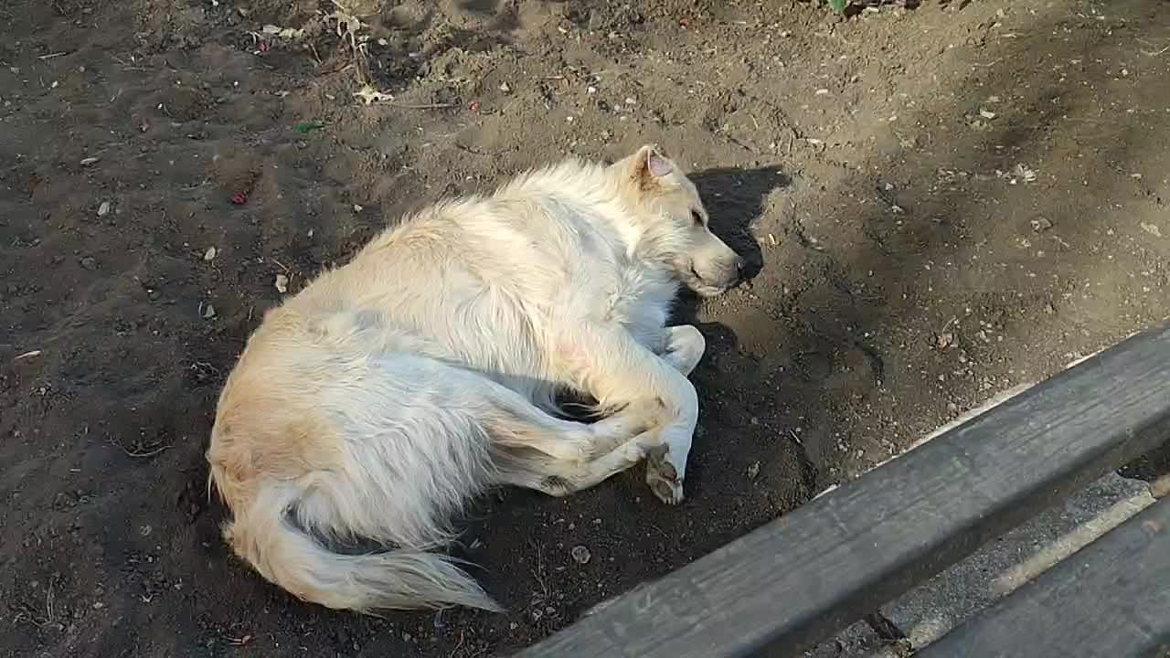 Video: Видео от Донецкая группа новостей|Донецк.ДНР