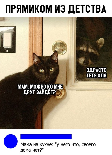 Зачетные и ржачные надписи к картинкам и фото приколам для улыбки Зачетные и ржачные надписи к картинкам и фото приколам для улыбки