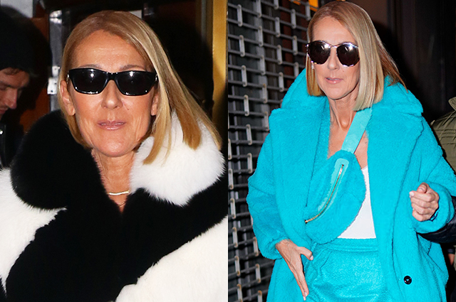 У Селин Дион наступила зима: Круэлла Де Виль и бирюзовый "чебурашка" восстали из шубохранилища