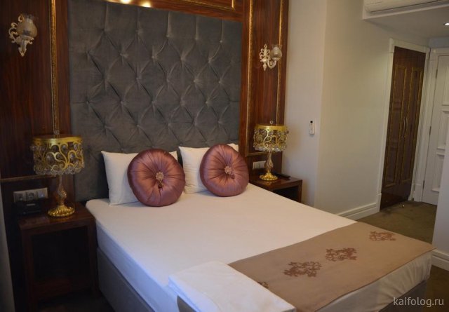 Приколы про лук Приколы про лук