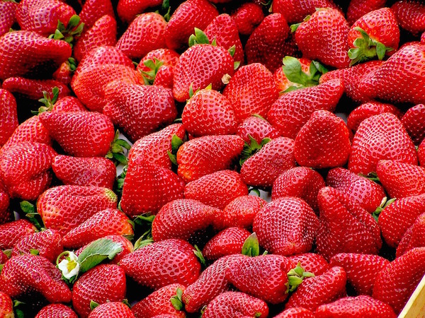 10 продуктов, в которых больше всего йода. Изображение номер 2 10 продуктов, в которых больше всего йода. Изображение номер 2
