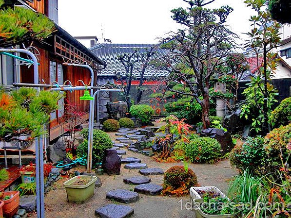 японский сад на даче фото (7)