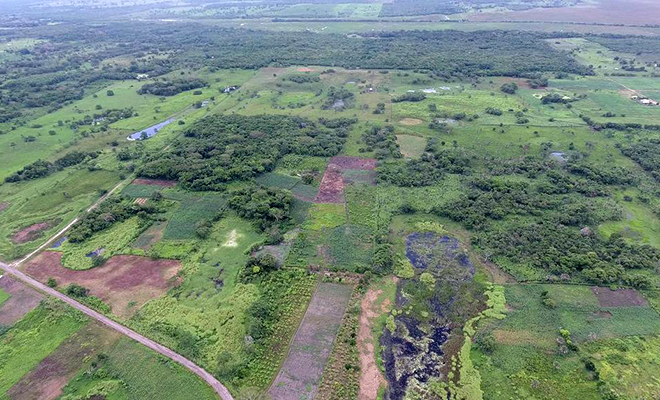 «Структура похожа а космодром»: на Юкатане обнаружили древнюю постройку майя размером с современный аэродром «Структура похожа а космодром»: на Юкатане обнаружили древнюю постройку майя размером с современный аэродром Культура