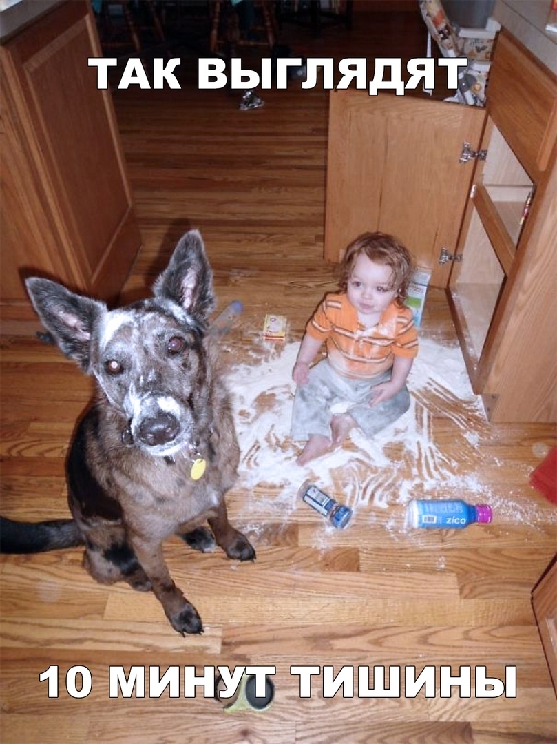 Прикольные фото и забавные картинки с надписью из сети 