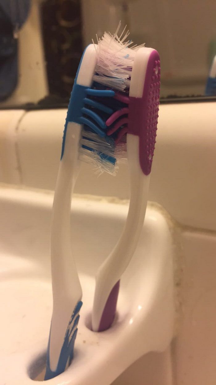 toothbrush-love-story-bristles-4
