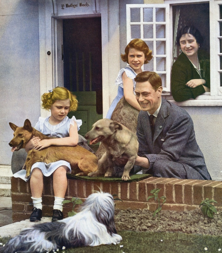 19 фактов из жизни Елизаветы II, которые убедили нас в том, что мы мало о ней знаем