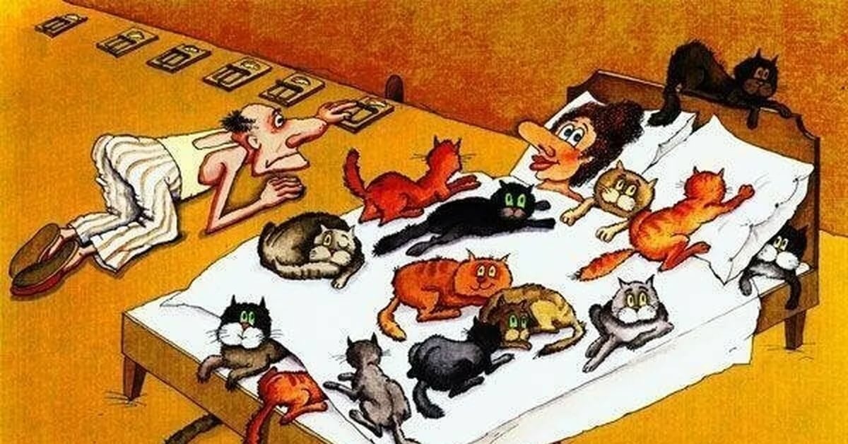 Пришел в гости к пьяной. Юмористические иллюстрации. Кошка карикатура. Карикатуры кошек и собак. Карикатуры про котиков.