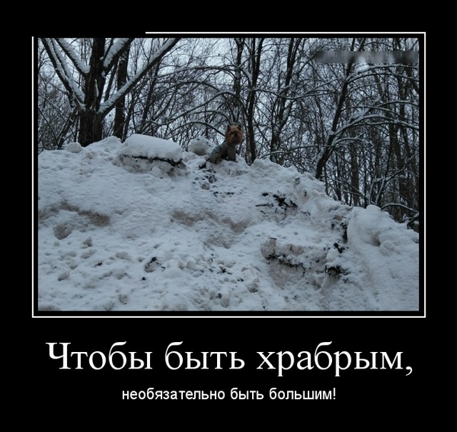 Демотиваторы 11 февраля 