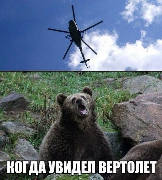 Социальный юмор Социальный юмор