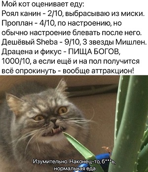 В любви — как на мотоцикле: третий либо лишний, либо в коляске г,Москва [1405113]