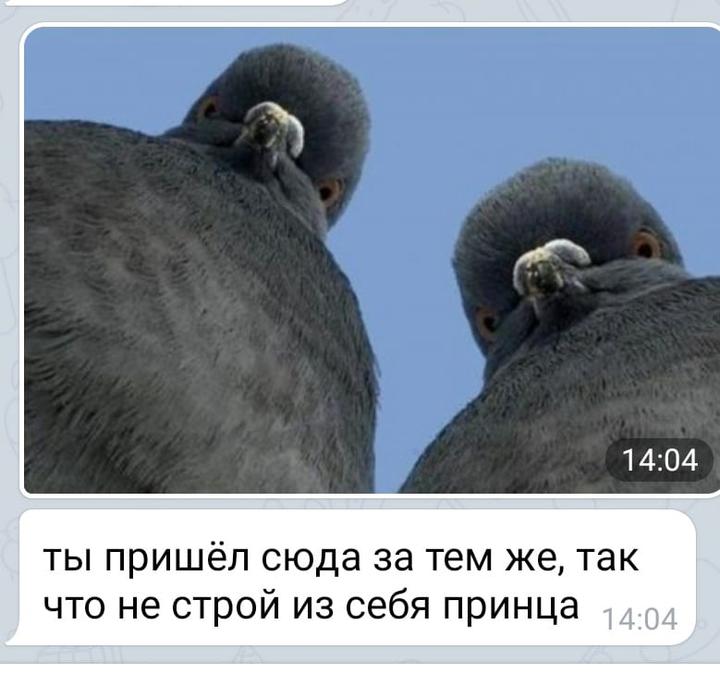 «Нищебродам просьба не беспокоить. Ищу топ-менеджера с квартирой в центре». Женщины высмеяли мужчин в Тиндере Янина, мужчин, запустили, мужчины, в себе, уверенностью, восхищаться, не переставая, объявлений, флешмоб tinderlikeamen с симметрией, Стилистимиджмейкер, случайно, постсоветских, — Таким, пишет, отношениях —, Во всех, ракурса, неудачного, говоря