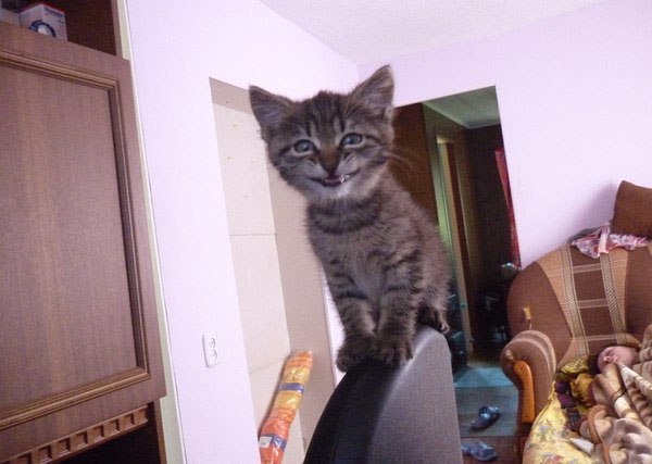 Позитивные картинки и классные фотографии для улыбки красивые фотографии,угарные фотки,фото приколы,шикарные фотографии