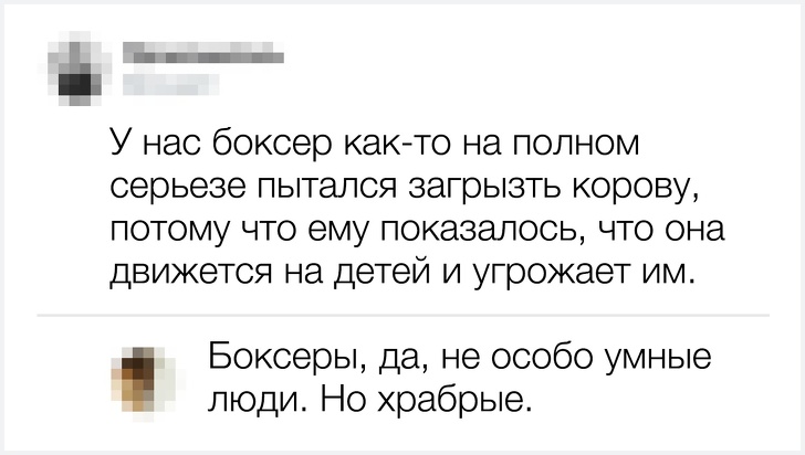 20 остроумных комментариев от тех, кто за словом в карман не лезет 