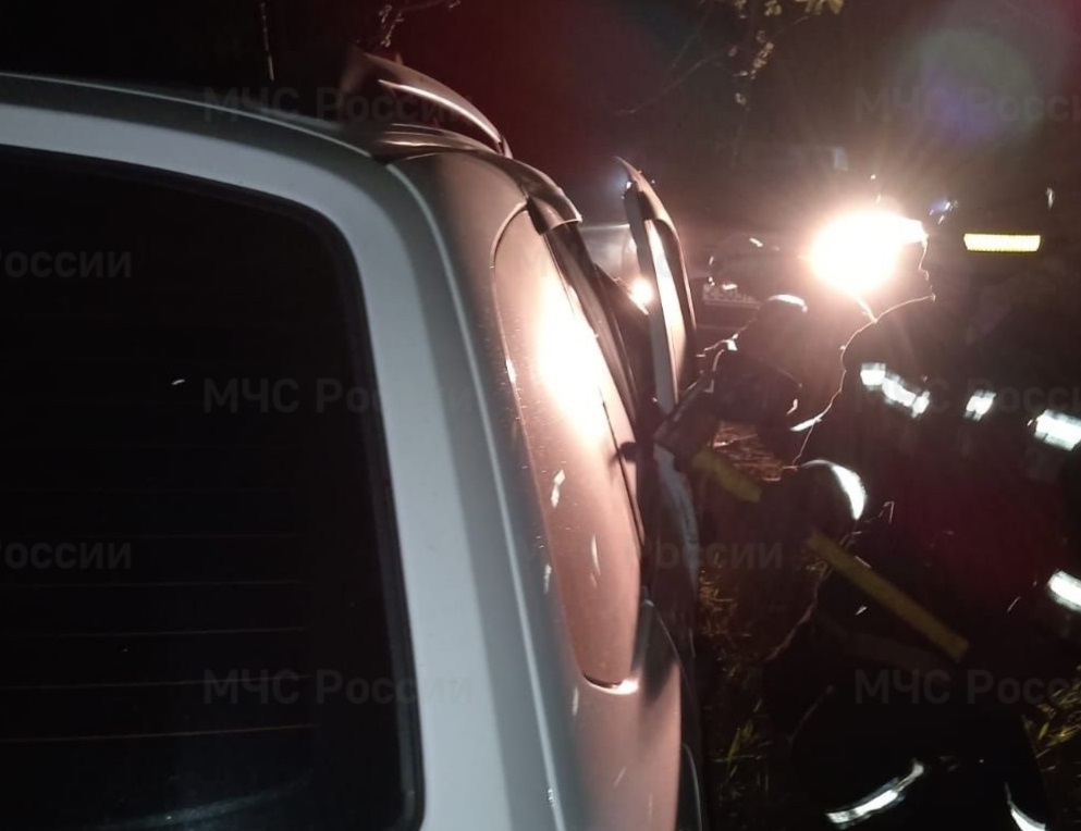В Собинском районе водитель «Лады» погиб в ДТП с лосем и автомобилем