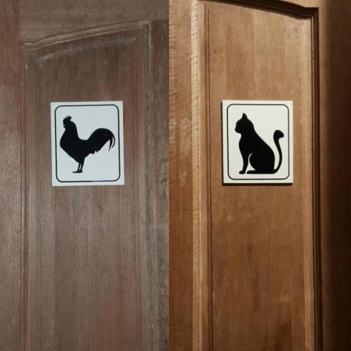 Прикольные картинки на каждый день!!! Прикольные картинки на каждый день!!! смешные картинки