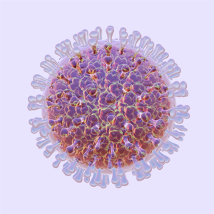  :          Wonderzine